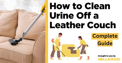 how to remove human urine smell from couch without